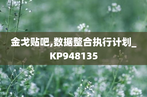 金戈贴吧,数据整合执行计划_KP948135