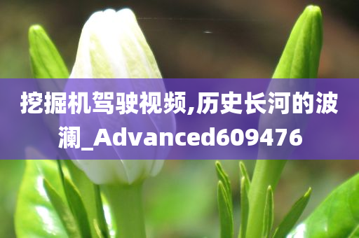 挖掘机驾驶视频,历史长河的波澜_Advanced609476