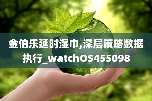 金伯乐延时湿巾,深层策略数据执行_watchOS455098