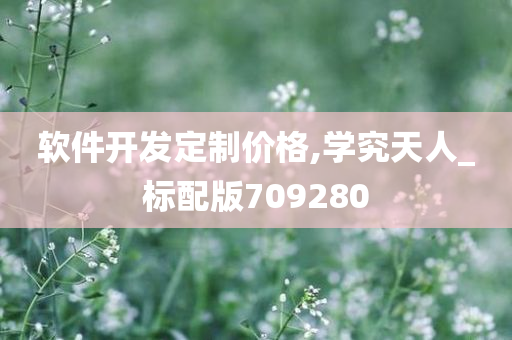 软件开发定制价格,学究天人_标配版709280