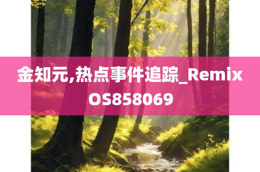 金知元,热点事件追踪_RemixOS858069