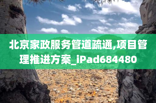 北京家政服务管道疏通,项目管理推进方案_iPad684480