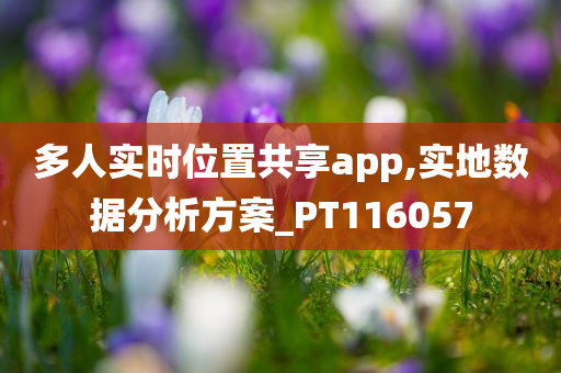 多人实时位置共享app,实地数据分析方案_PT116057