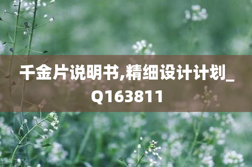 千金片说明书,精细设计计划_Q163811