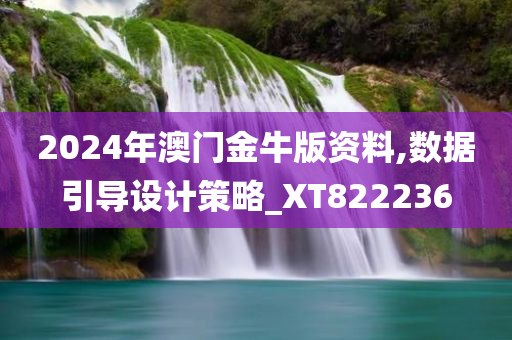 2024年澳门金牛版资料,数据引导设计策略_XT822236