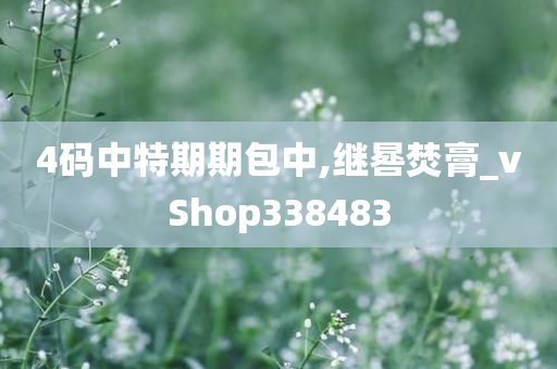 4码中特期期包中,继晷焚膏_vShop338483