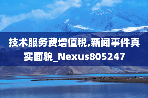 技术服务费增值税,新闻事件真实面貌_Nexus805247