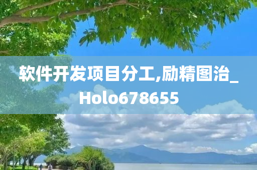 软件开发项目分工,励精图治_Holo678655