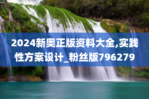 2024新奥正版资料大全,实践性方案设计_粉丝版796279