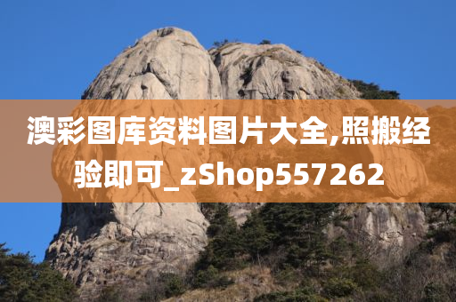 澳彩图库资料图片大全,照搬经验即可_zShop557262