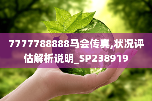 7777788888马会传真,状况评估解析说明_SP238919