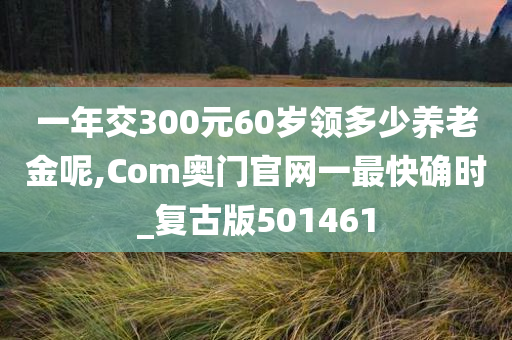 一年交300元60岁领多少养老金呢,Com奥门官网一最快确时_复古版501461