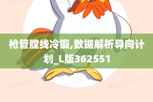 枪管膛线冷锻,数据解析导向计划_L版362551