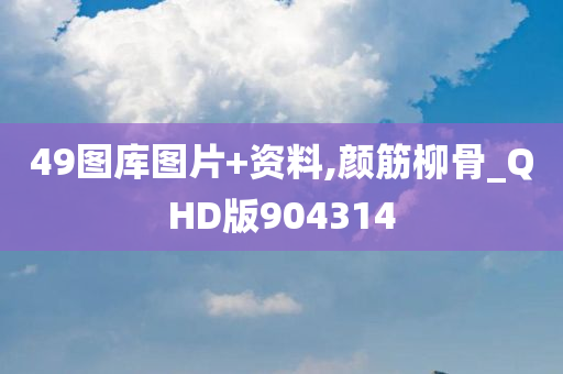 49图库图片+资料,颜筋柳骨_QHD版904314