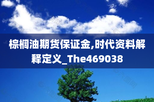 棕榈油期货保证金,时代资料解释定义_The469038