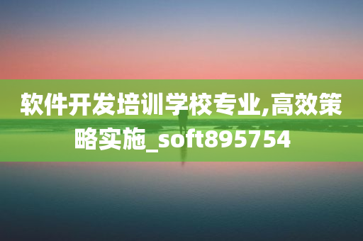 软件开发培训学校专业,高效策略实施_soft895754