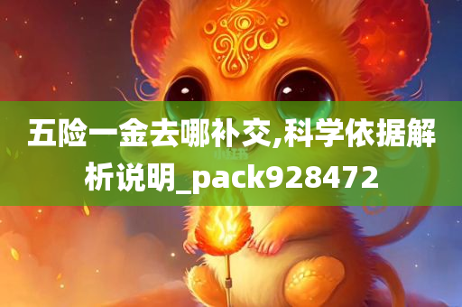 五险一金去哪补交,科学依据解析说明_pack928472