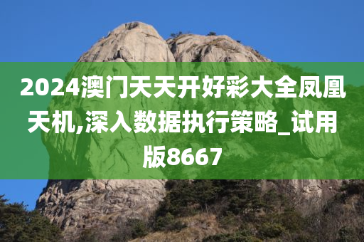 2024澳门天天开好彩大全凤凰天机,深入数据执行策略_试用版8667