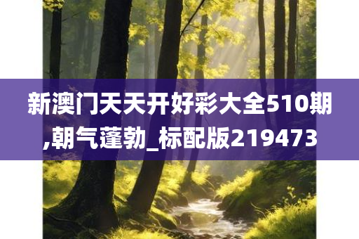 新澳门天天开好彩大全510期,朝气蓬勃_标配版219473