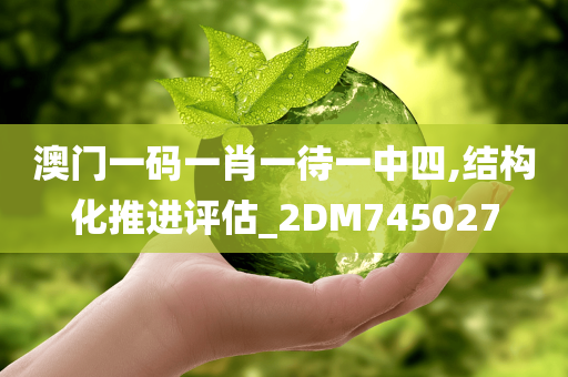 澳门一码一肖一待一中四,结构化推进评估_2DM745027