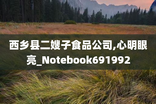 西乡县二嫂子食品公司,心明眼亮_Notebook691992