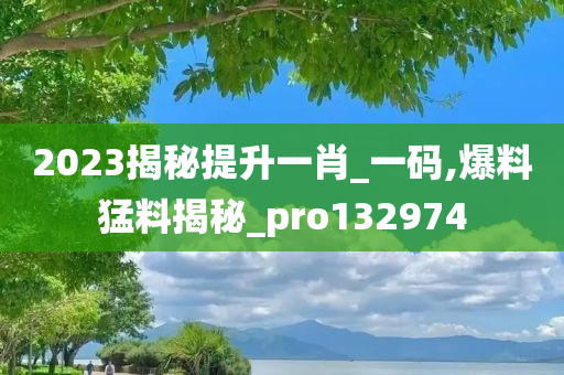 2023揭秘提升一肖_一码,爆料猛料揭秘_pro132974