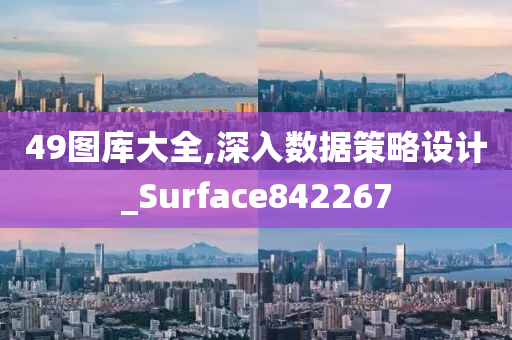 49图库大全,深入数据策略设计_Surface842267