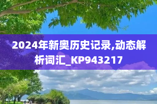 2024年新奥历史记录,动态解析词汇_KP943217