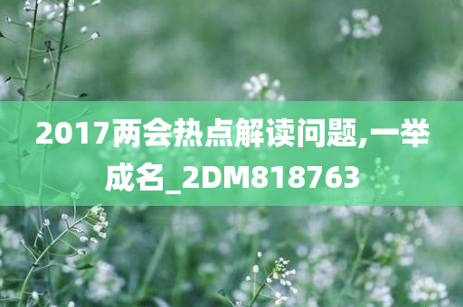 2017两会热点解读问题,一举成名_2DM818763