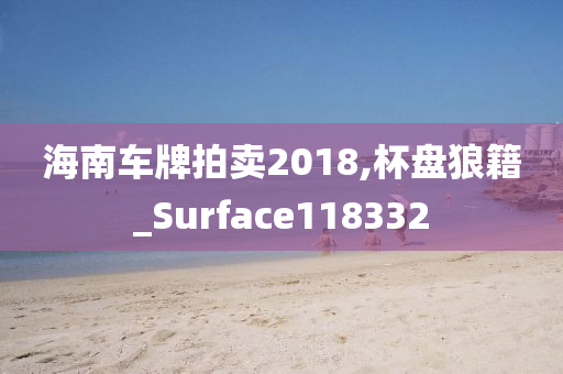 海南车牌拍卖2018,杯盘狼籍_Surface118332