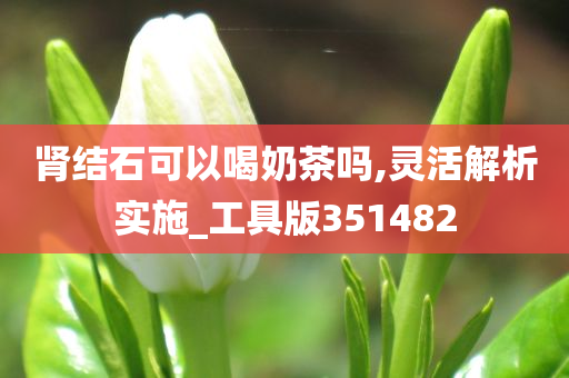 肾结石可以喝奶茶吗,灵活解析实施_工具版351482