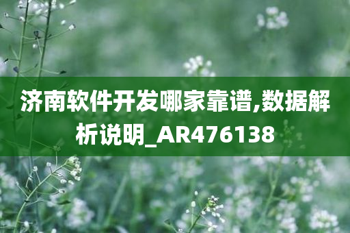 济南软件开发哪家靠谱,数据解析说明_AR476138