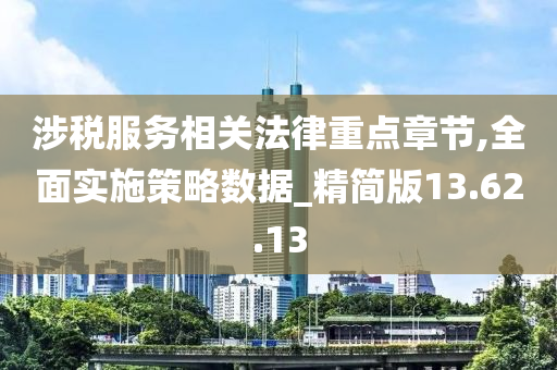 涉税服务相关法律重点章节,全面实施策略数据_精简版13.62.13