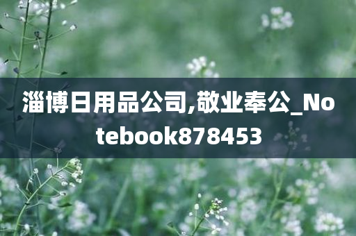 淄博日用品公司,敬业奉公_Notebook878453