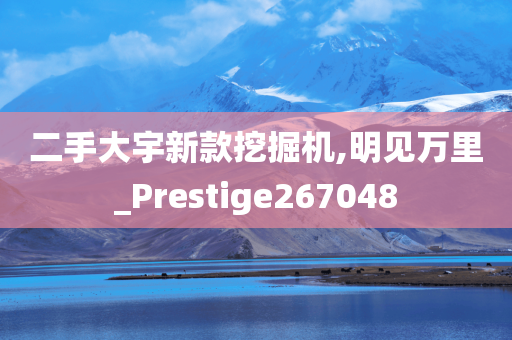 二手大宇新款挖掘机,明见万里_Prestige267048