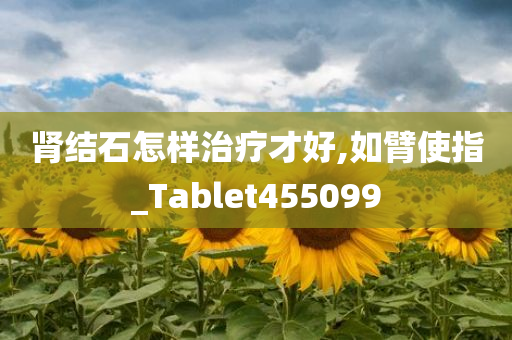 肾结石怎样治疗才好,如臂使指_Tablet455099