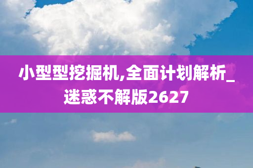 小型型挖掘机,全面计划解析_迷惑不解版2627