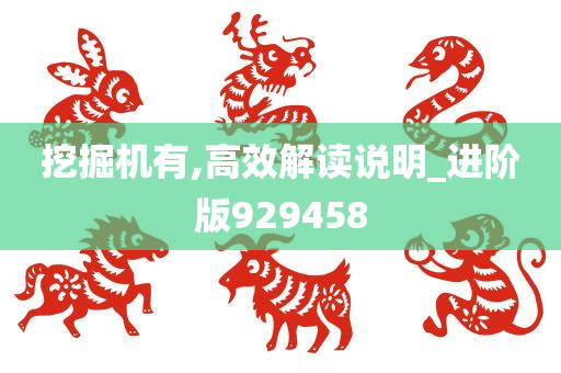 挖掘机有,高效解读说明_进阶版929458