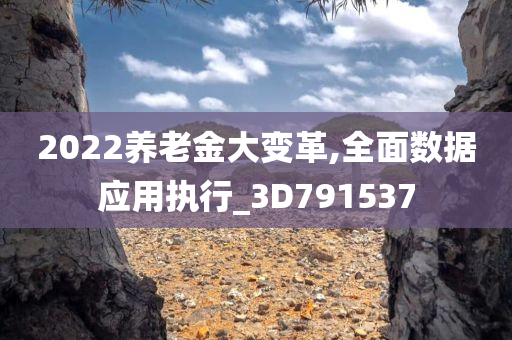 2022养老金大变革,全面数据应用执行_3D791537