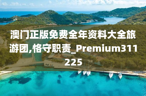 澳门正版免费全年资料大全旅游团,恪守职责_Premium311225