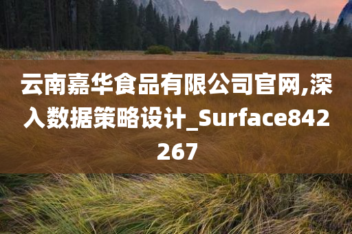 云南嘉华食品有限公司官网,深入数据策略设计_Surface842267