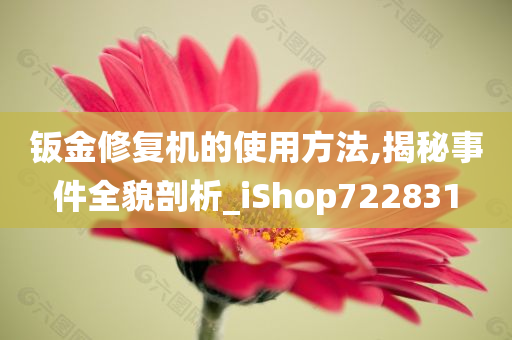 钣金修复机的使用方法,揭秘事件全貌剖析_iShop722831