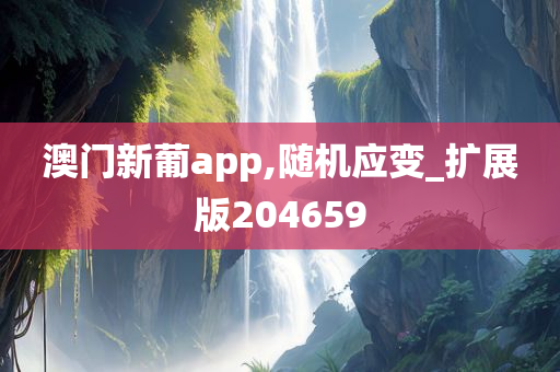 澳门新葡app,随机应变_扩展版204659