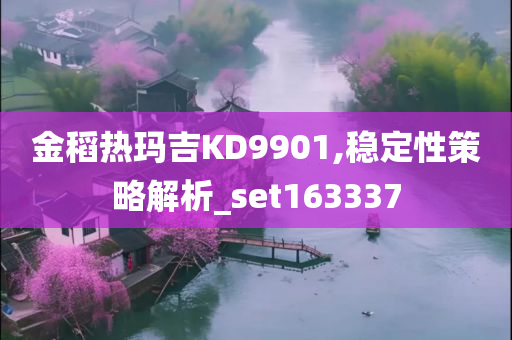 金稻热玛吉KD9901,稳定性策略解析_set163337