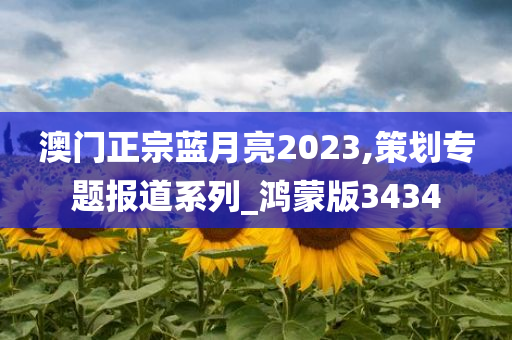 澳门正宗蓝月亮2023,策划专题报道系列_鸿蒙版3434