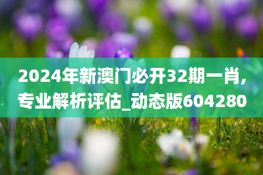 2024年新澳门必开32期一肖,专业解析评估_动态版604280