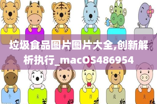 垃圾食品图片图片大全,创新解析执行_macOS486954