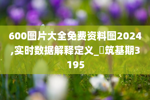 600图片大全免费资料图2024,实时数据解释定义_‌筑基期3195