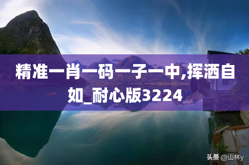 精准一肖一码一子一中,挥洒自如_耐心版3224