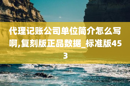 代理记账公司单位简介怎么写啊,复刻版正品数据_标准版453